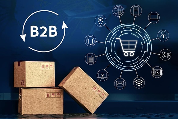 طراحی سایت B2B طراحی سایت B2B